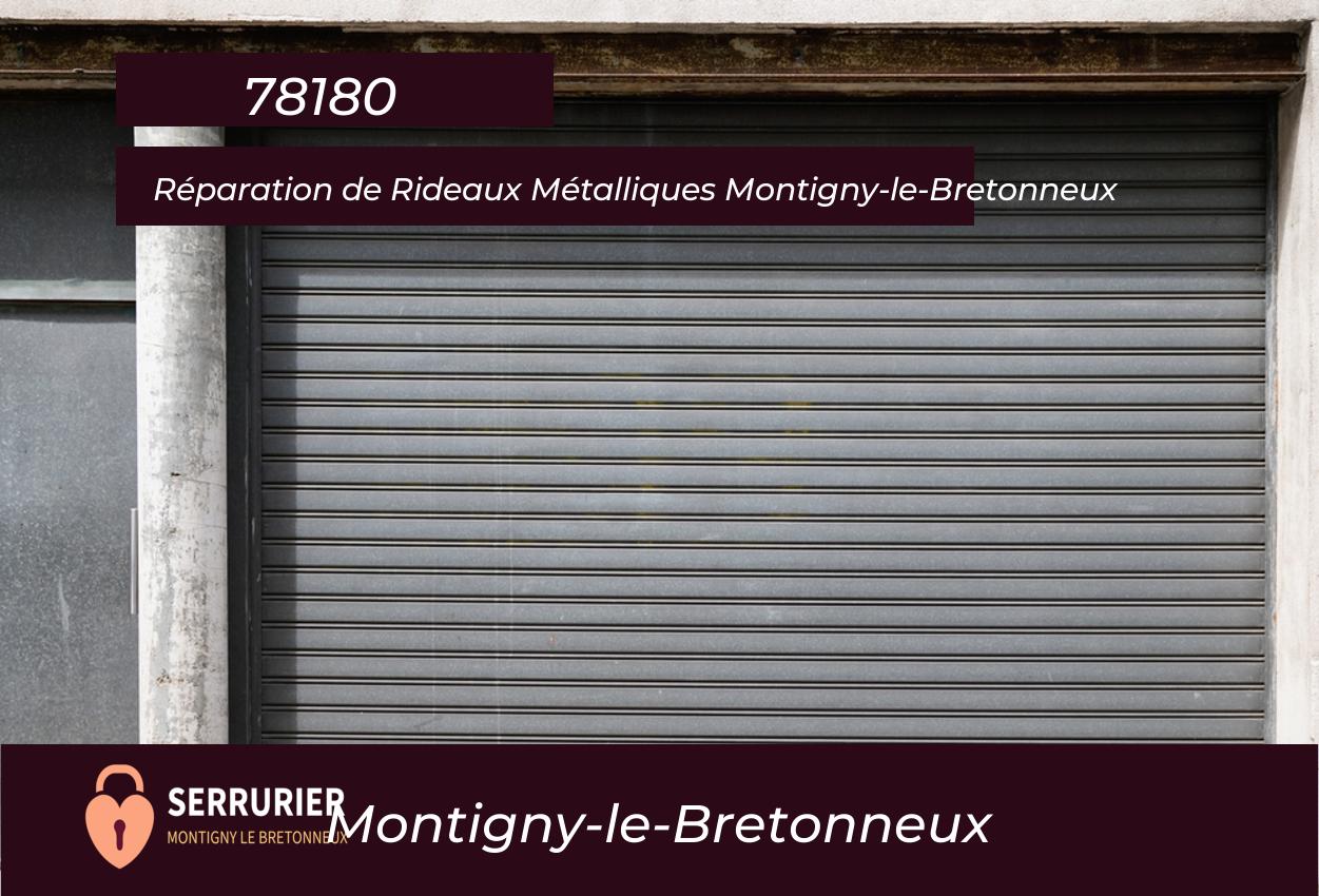 Rideau Métallique Montigny-le-Bretonneux (78180)